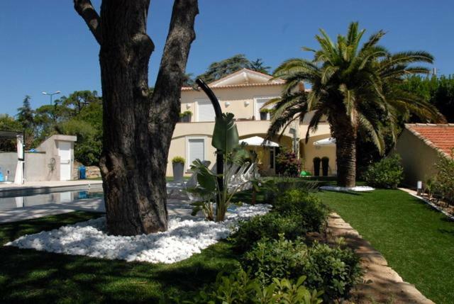 Sainte Maxime 4 Pieces Daire Dış mekan fotoğraf